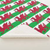 Wales Sherpadecke (3/4)