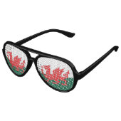 Wales Sonnenbrille (Schrägansicht)