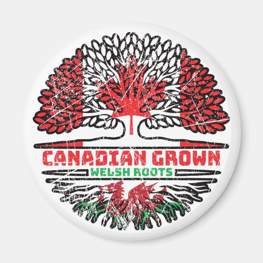 Wales Wales Canadian Canada Tree Roots Flag Magnet (Vorne)