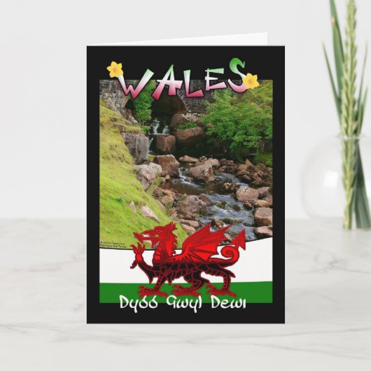 Wales, Waliser-Karten-Sprichwort Dydd Gwyl Dewi Karte (Vorderseite)