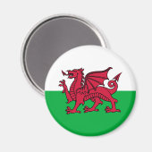 Wales - Walisische Flagge Magnet (Vorderseite/Rückseite)