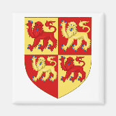 Wales-Wappen Magnet (Vorne)