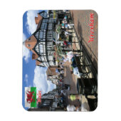 Wales - Wrexham - Magnet (Vertikal)
