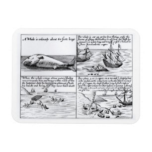 Walfang bei Spitzbergen im Jahre 1611 (Stich) (b/w Magnet