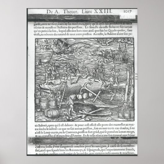 Walfang Poster (Vorne)