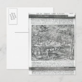 Walfang Postkarte (Vorne/Hinten)