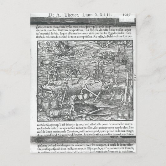 Walfang Postkarte (Vorderseite)