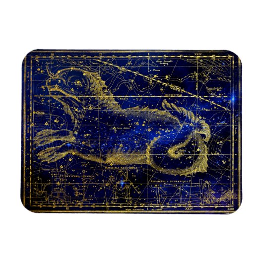 Walfisch-Sternbild-Magnet Magnet (Horizontal)