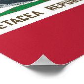 Walfischflagge der Cetacea Republic Rorqual Poster (Ecke)