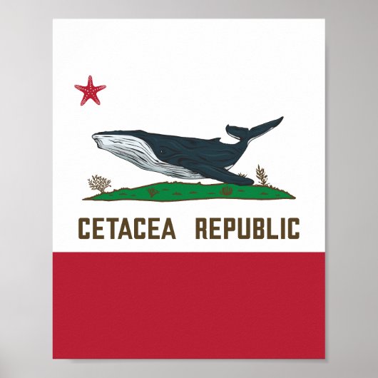 Walfischflagge der Cetacea Republic Rorqual Poster (Vorne)