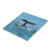 Walflosse Fliese (Seite)