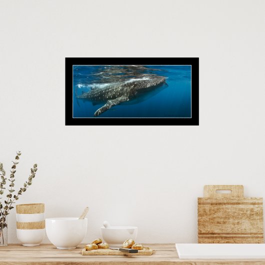 Walhai #7 poster (Küche)