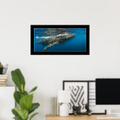 Walhai #7 poster (Heimbüro)