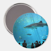 Walhai Magnet (Vorderseite/Rückseite)