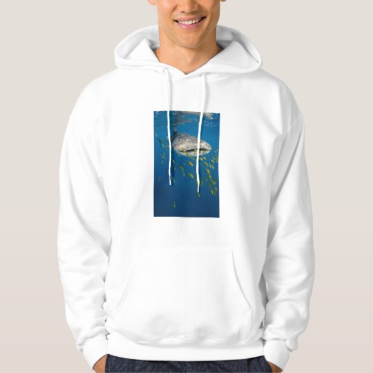 Walhai mit Fisch, Indonesien Hoodie (Vorderseite)