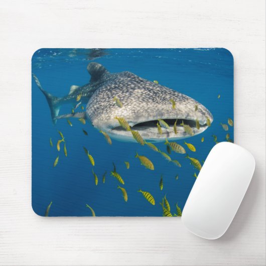 Walhai mit Fisch, Indonesien Mousepad (Mit Mouse)