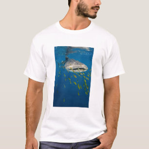 Walhai mit Fischen, Indonesien T-Shirt