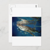 Walhai Oslob Philippinen Postkarte (Vorne/Hinten)