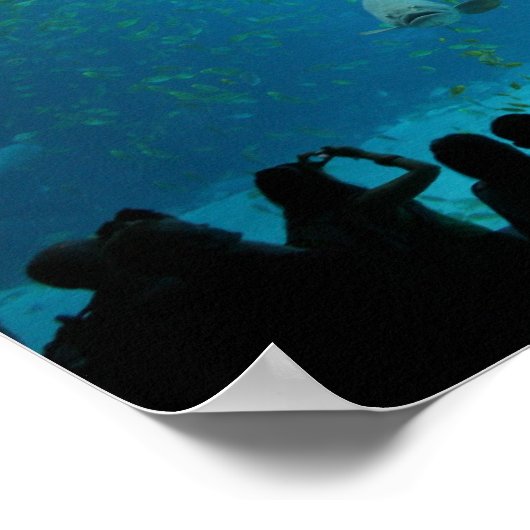 Walhai Poster (Ecke)