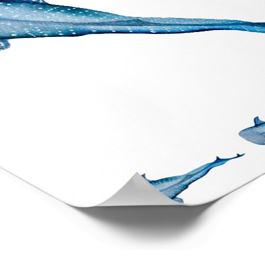 Walhai Poster (Ecke)