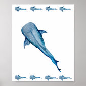 Walhai Poster (Vorne)