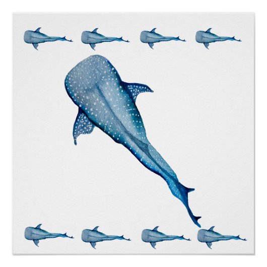 Walhai Poster (Vorderseite)