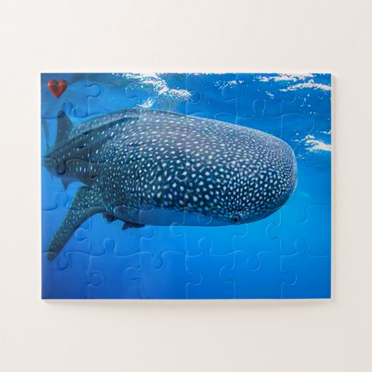 Walhai Puzzle (Horizontal)