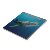 Walhai Schwimmen Fliese (Seite)