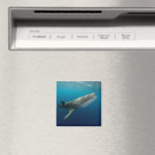 Walhai Schwimmen Magnet (In Situ (Geschirrspüler))