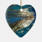 Walhai und Rmorfisch Keramik Ornament (Rechts)