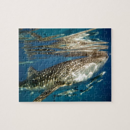 Walhai und Schiffshalter Puzzle (Horizontal)