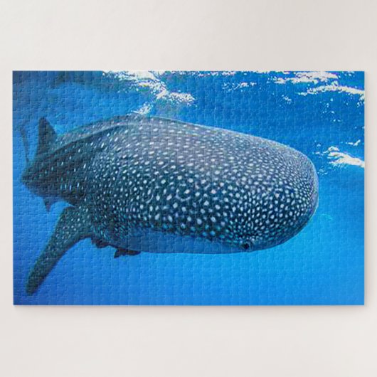 Walhaie Puzzle (Horizontal)