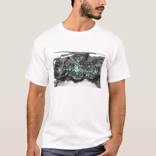 Walhall Heatmap T-Shirt (Vorderseite)