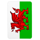 Walischer Roter Drache Wales-Flagge Magnet (Vertikal)
