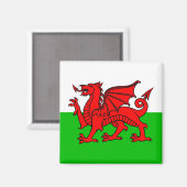 Walischer Roter Drache Wales-Flagge Magnet (Vorderseite/Rückseite)