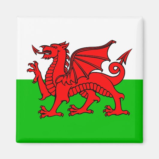 Walischer Roter Drache Wales-Flagge Magnet (Vorne)