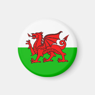 Walischer Roter Drache Wales-Flagge Magnet