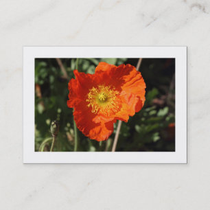 Walisches Mohn (Orange) umrandet Visitenkarte