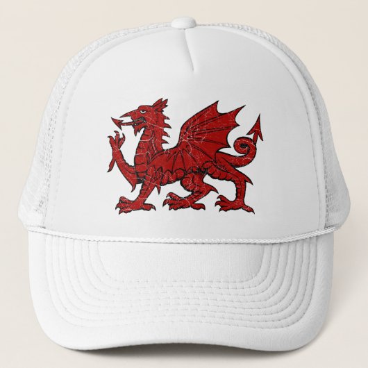 Waliser-Drache-Schmutz - Hut Truckerkappe (Vorderseite)