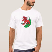 Waliser-Drache-Surfen