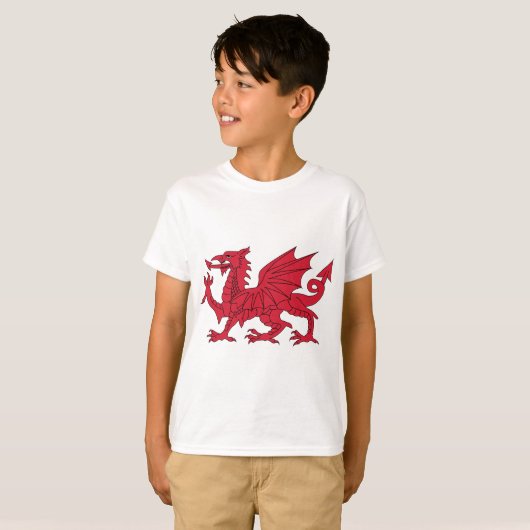 Waliser-Drache T-Shirt (Vorne ganz)