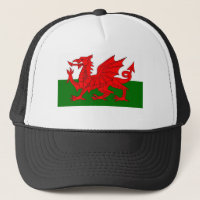 Waliser-Flagge