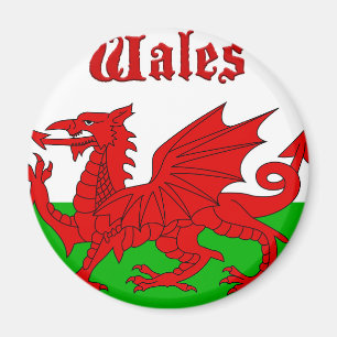 Waliser-Flagge Wales Magnet