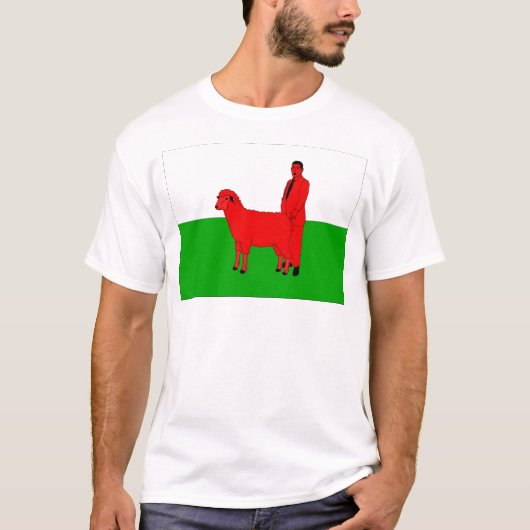 Waliser-Flaggespoof-T - Shirt (Vorderseite)