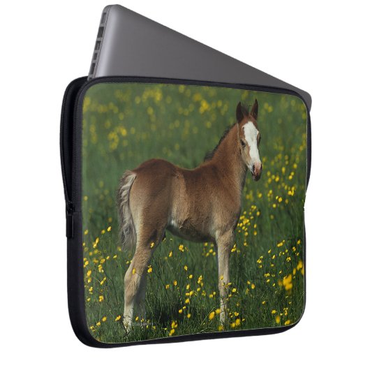 Waliser-Fohlen Laptopschutzhülle (Vorne Rechts)