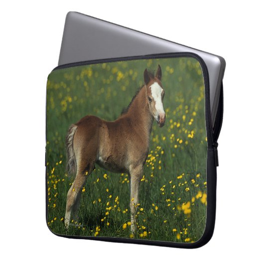 Waliser-Fohlen Laptopschutzhülle (Vorderseite Links)