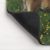 Waliser-Fohlen Mousepad (Ecke)