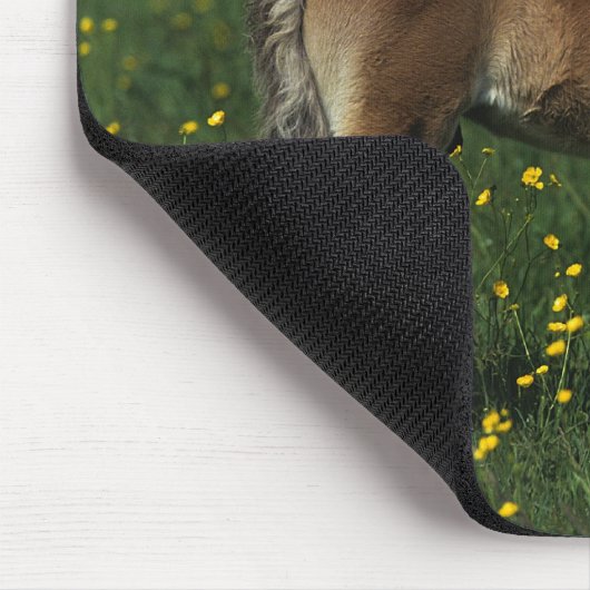 Waliser-Fohlen Mousepad (Ecke)