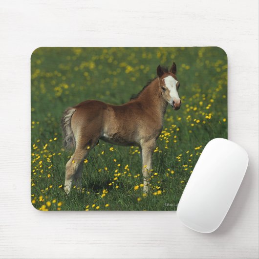 Waliser-Fohlen Mousepad (Mit Mouse)