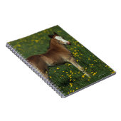 Waliser-Fohlen Notizblock (Rechte Seite)